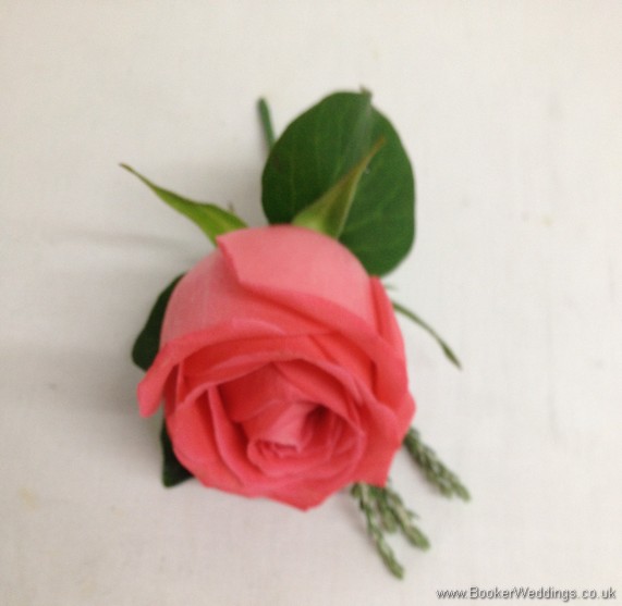 Coral Rose Buttonhole for Groom